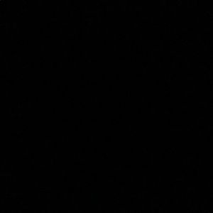 Meet your Posher, Reese